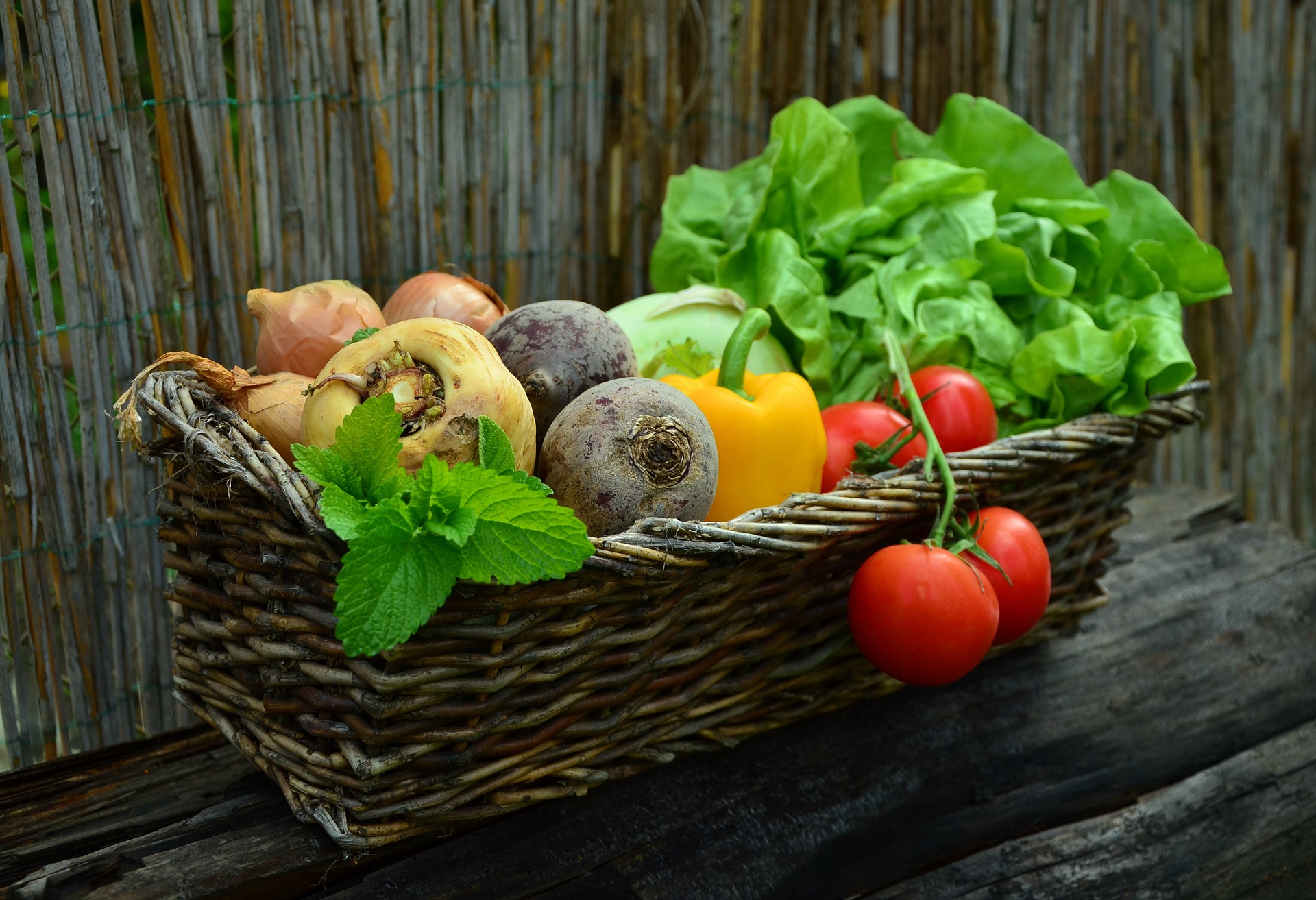 Pěstování zeleniny bez umělých hnojiv je lepší a levnější