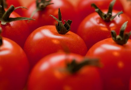 Kdy a jak vyséváme rajčata?