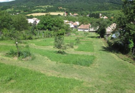 Zahrada ve svahu aneb budujeme zahradu kreativně