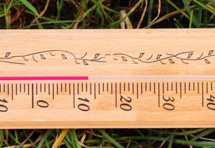 Jaké jsou teploty jednotlivých povrchů na zahradě?